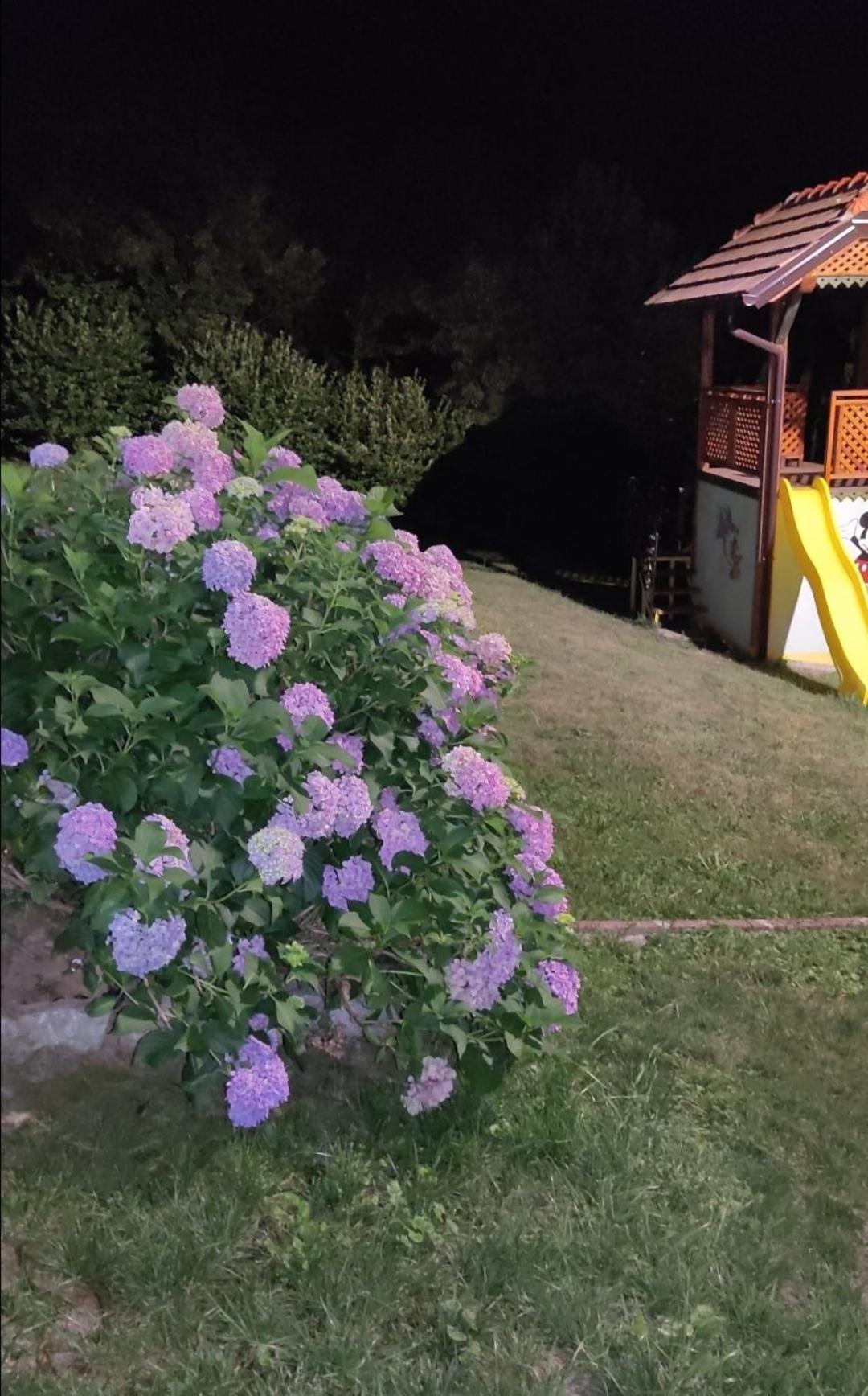 Holiday Home Pharaoh วิโซโค ภายนอก รูปภาพ